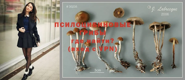 гашиш Абаза