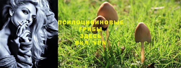 гашиш Абаза