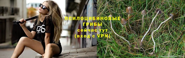 ГАЛЛЮЦИНОГЕННЫЕ ГРИБЫ Абдулино