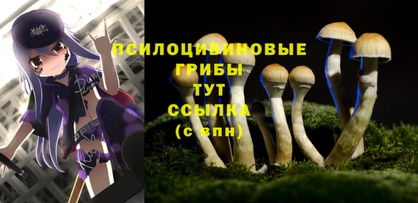 гашиш Абаза